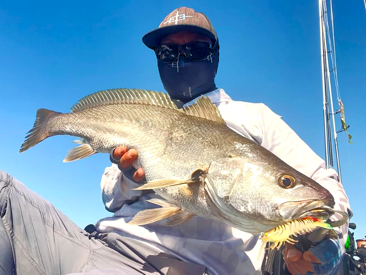 Stinger Shrimp 90 Heavy Duty