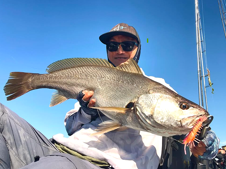 Stinger Shrimp 90 Heavy Duty