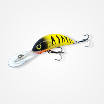 B80 Diver