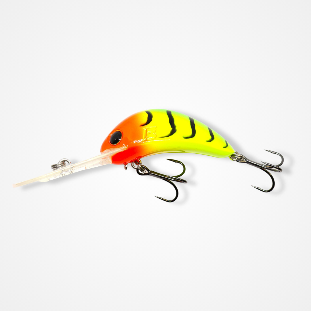 B60 Diver
