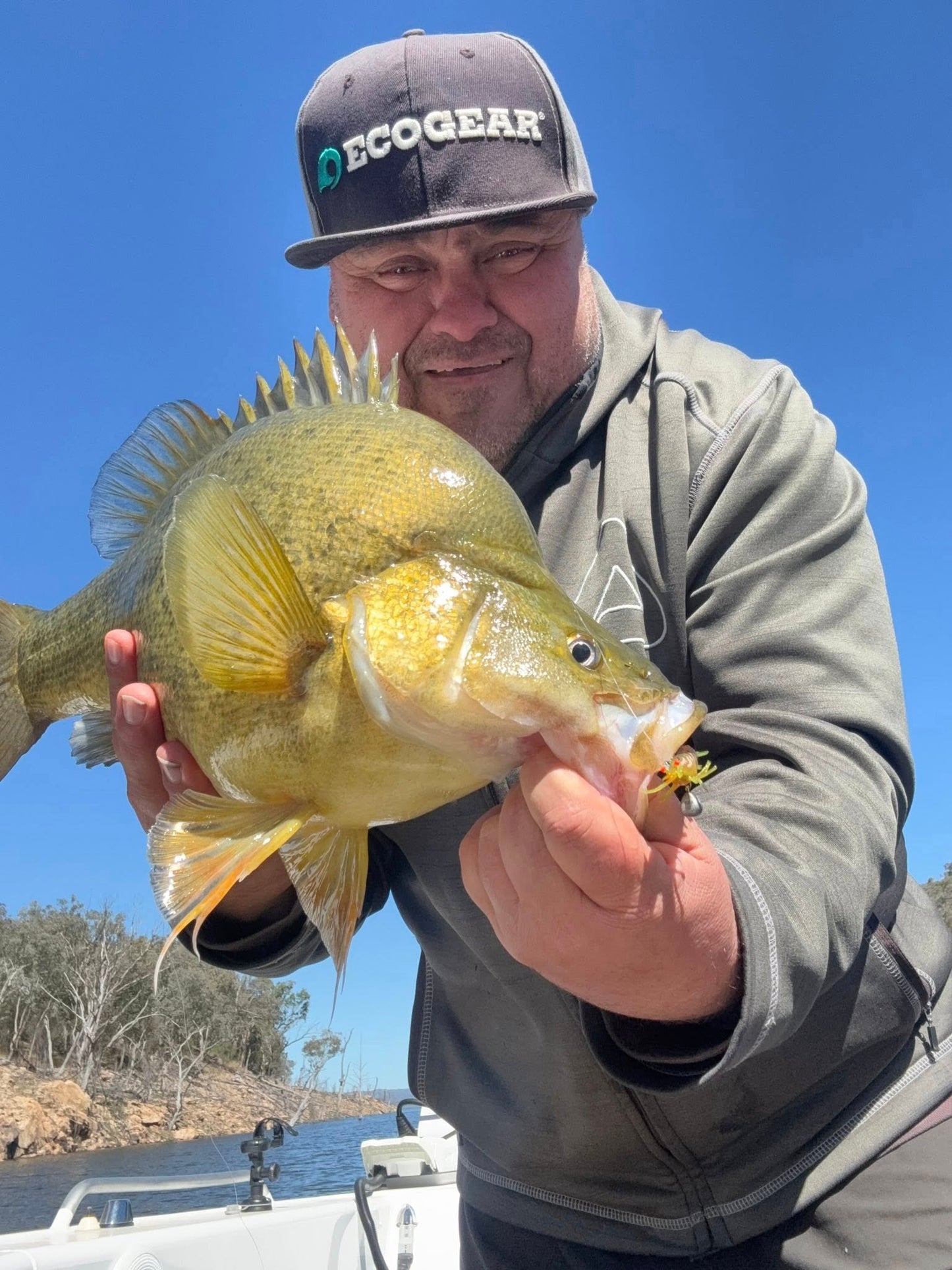 Stinger Shrimp 55 Finesse