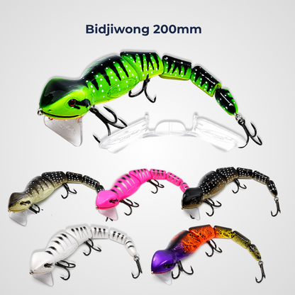 Bidjiwong 200mm