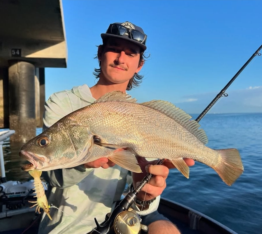 Stinger Shrimp 125 Heavy Duty