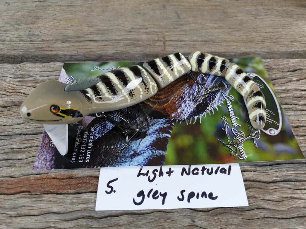 Timber Barambah Dragon - Light Natural (Grey Spines)