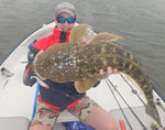 Flatty Jigheads