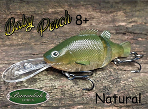 Baby Perch 8+