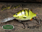 Baby Perch 8+