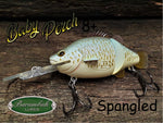 Baby Perch 8+