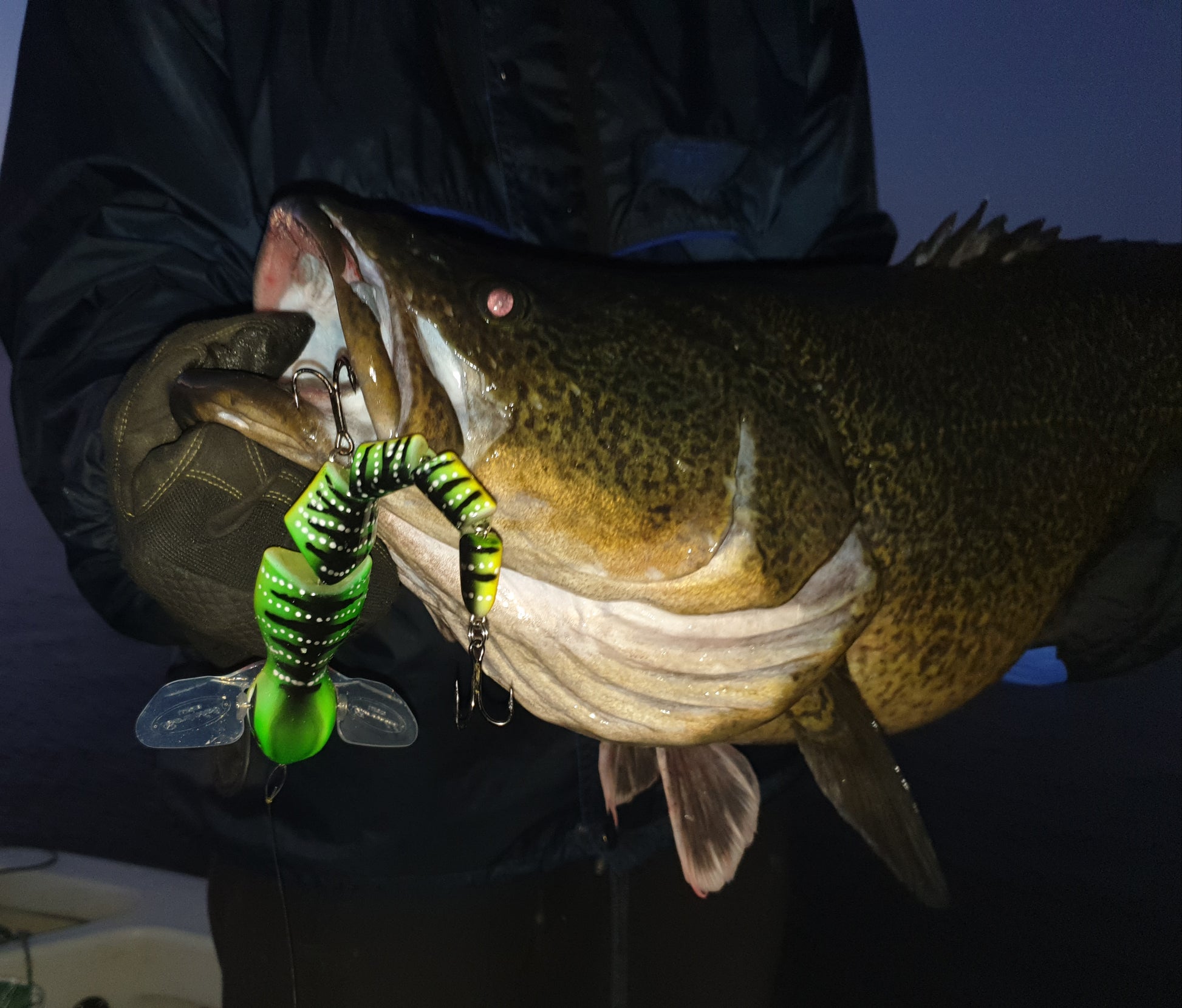 best murray cod fishing lures Bidjiwong 200 Surface Lure - Murray Cod Topwater Bait