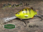 Baby Perch 16+