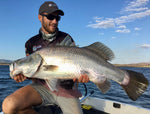 Bony Shad