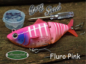 Bony Shad