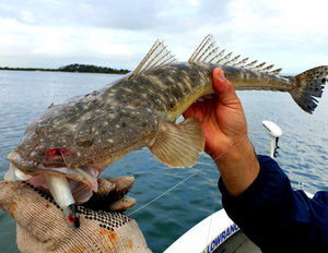 Flatty Jigheads