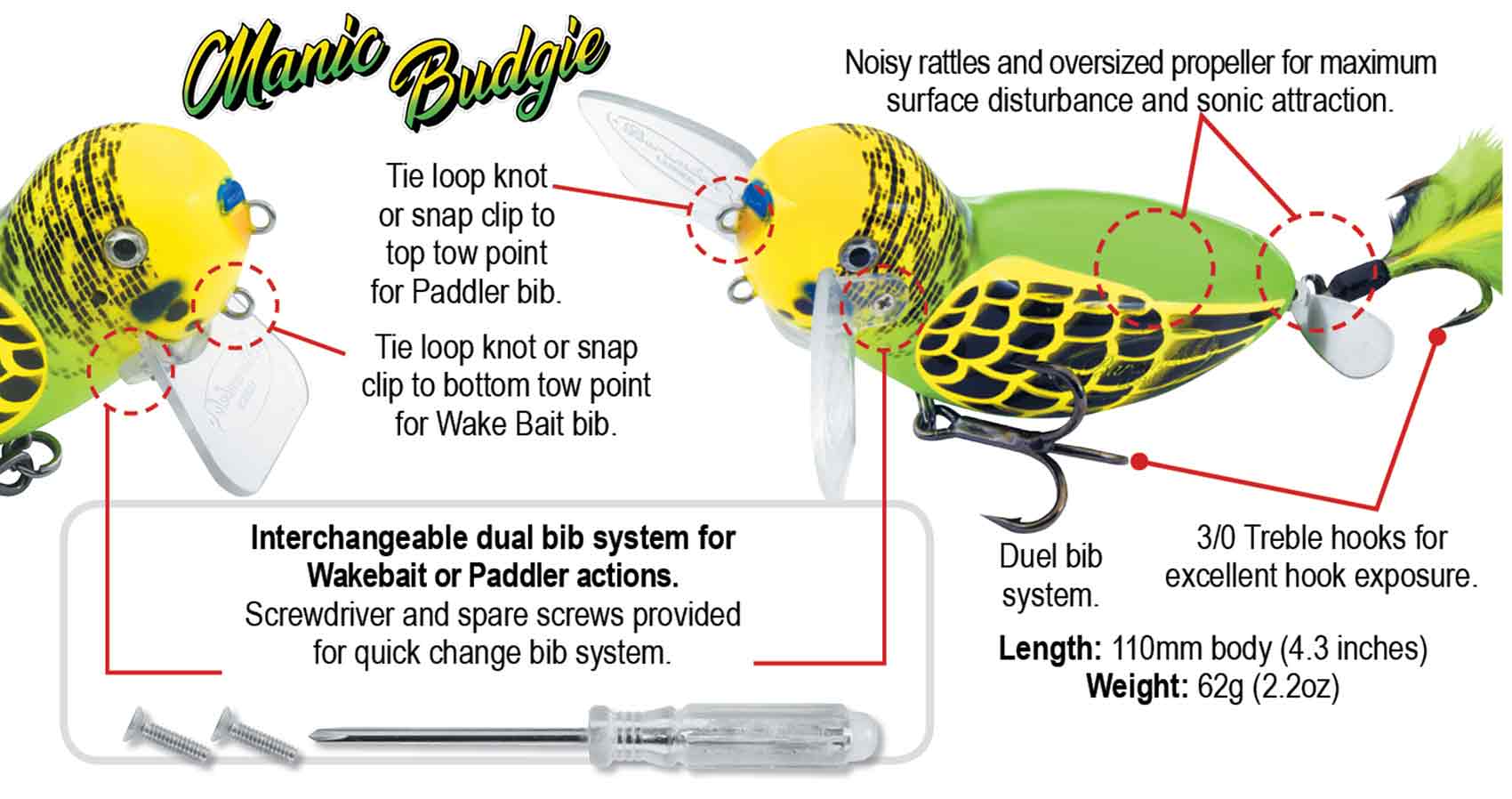 Manic Budgie