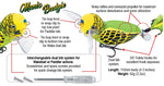 Manic Budgie