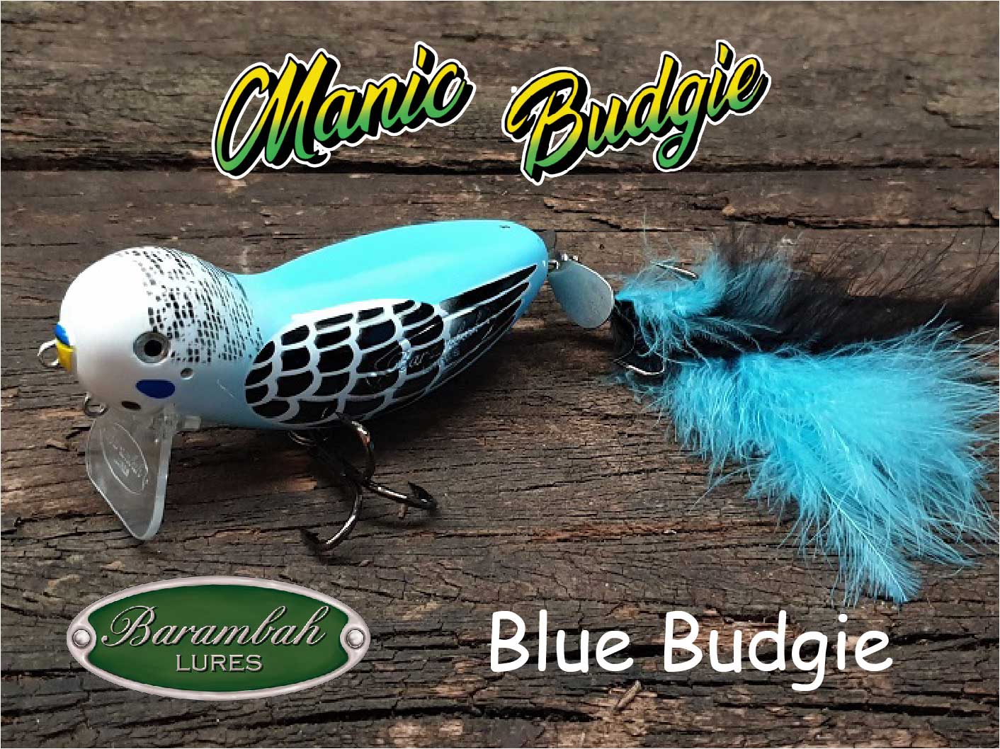 Manic Budgie