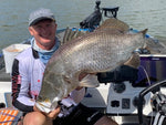 Bony Shad