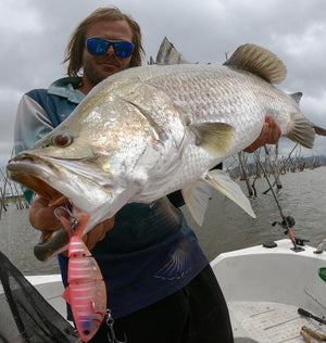 Bony Shad
